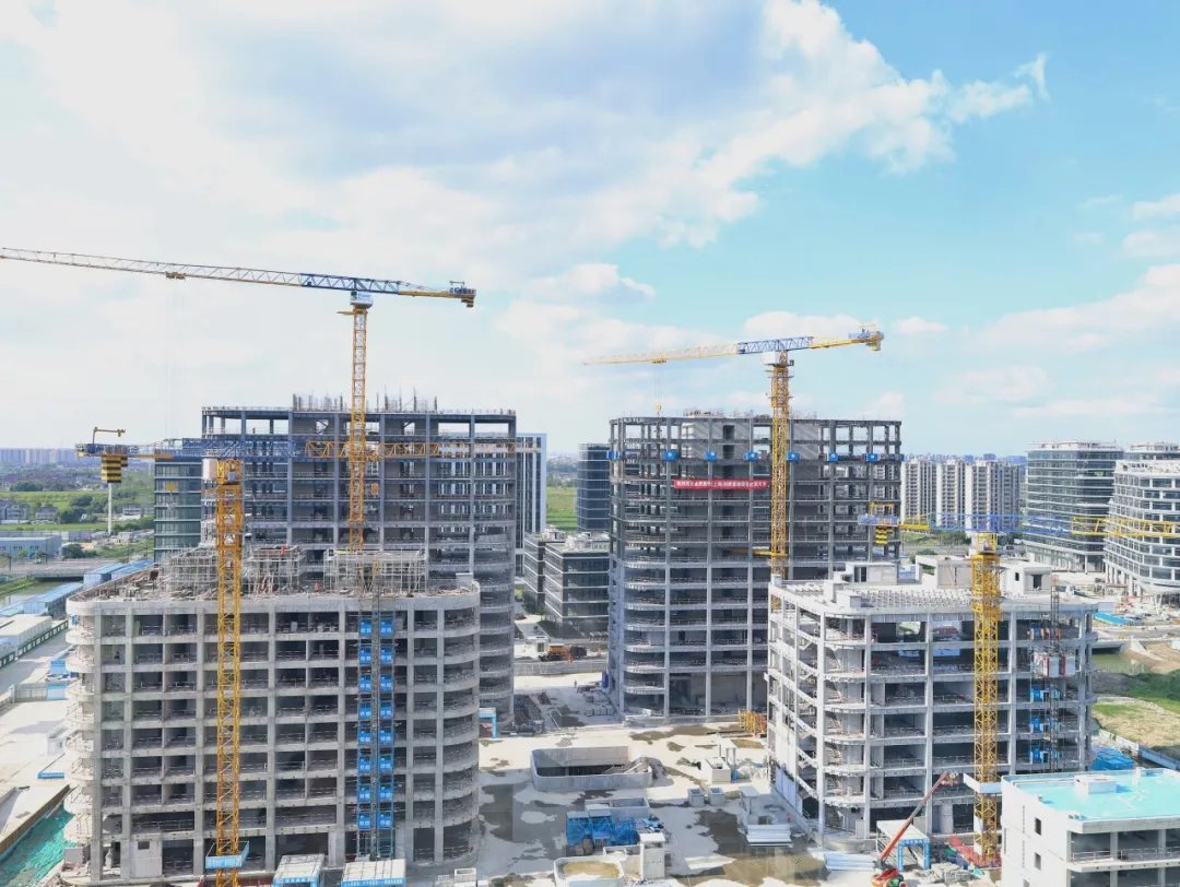 同心同向 造炬成阳 | U8国际2024年第三季度动态速览